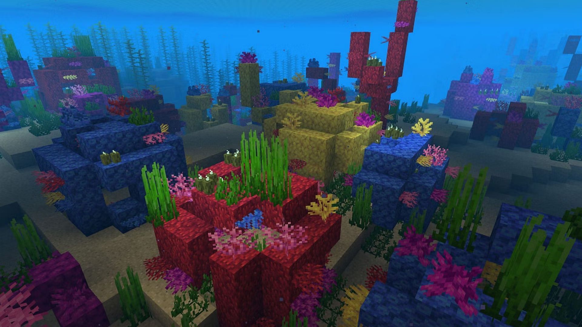 Coral reefs in Warm Ocean (Image via Minecraft)
